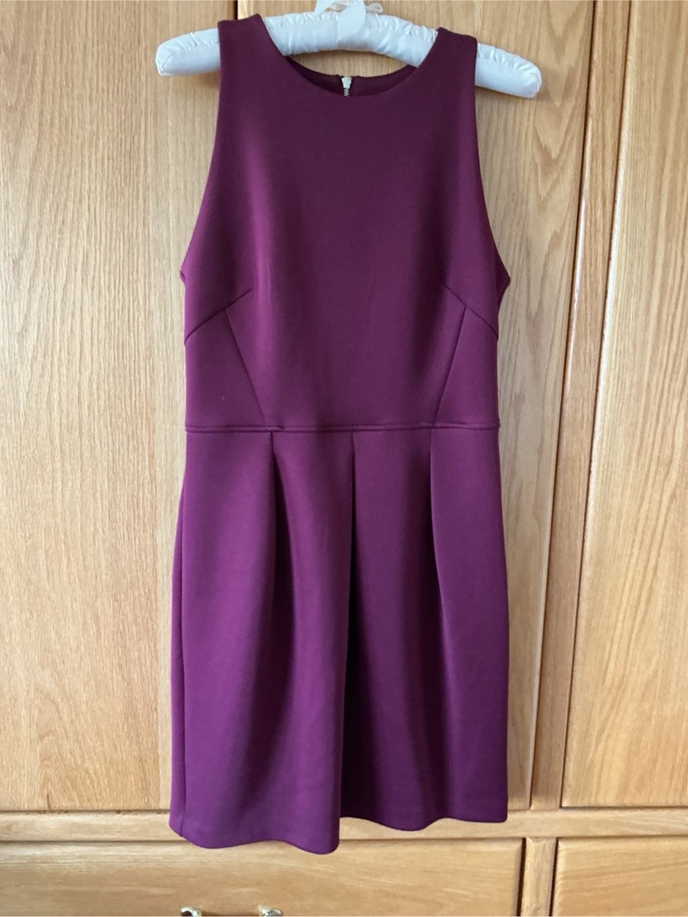 Dynamite Sleeveless Pleated Mini Dress in Plum